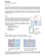 Biologie H1§5 Transport door membranen // 4 Vwo