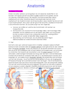 VIG/MZ samenvatting anatomie belangrijkste organen in het lichaam