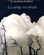 Samenvatting per bladzijde La neige en deuil, ISBN: 9782290306062 Frans