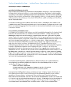Voorbereiding college 4 - Auditing Theory
