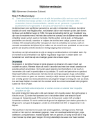Wijkinterventieplan, social work