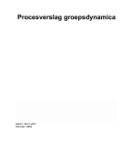 procesverslag - groepsdynamica, social work