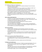 Beeldend vormen PABO 2 Thema 5