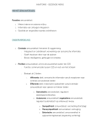 Samenvatting: anatomie: het zenuwstelsel