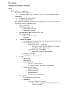 VRHv1 - LPB - Urologie 