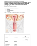 Invulsamenvatting compleet anatomie & fysiologie lesweek 6 mammacarcinoom en ovariumcarcinoom OWE 2