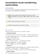 Geschiedenis eerste wereldoorlog, samenvatting havo