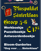 Sinterklaas Plusproject voor groep 5-6 