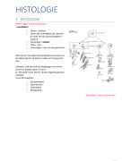 Medische vorming 1-2-3-4: Module 2:Histologie en Osteologie 