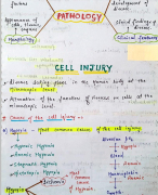 Cell injury pathology (Handwritten MBBS notes)