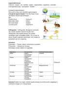 Biologie samenvatting Hoofdstuk Leven Havo 3 2019/2020