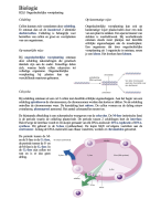 Biologie H2§1 Ongeslachtelijke voortplanting // 4 Vwo