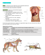 Samenvatting biologie Thema 2 organen en cellen Biologie voor Jou 1 havo/vwo deel A