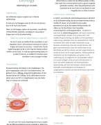 Biologie 10 voor biologie hoofdstuk Ademhaling en circulatie