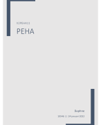 Pedagogisch handelen PEHA