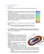 Samenvatting/ Samenvoeging ppt Biotechniek + specialisatie 1B