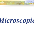 Microscopie; de microscoop - bouw van cellen
