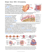 Samenvatting Biologie VWO 4 Nectar H4