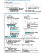 Alles dat je moet weten voor het vak Inleiding Strafrecht (samenvatting, hoorcolleges, werkcolleges, arresten, etc)