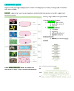 Samenvatting biologie Thema 3 ordening Biologie voor Jou 1 havo/vwo deel A