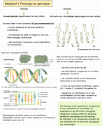 hoofdstuk 3 genetica  biologie voor jou vwo 4 samenvatting
