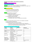 Biologie: anatomie van de zaadplant