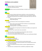 Biologie: morfologie van de zaadplant