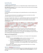 Samenvatting rechtsfilosofie - Open Universiteit