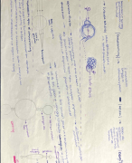 Biologie- 2de graad Natuurwetenschappen (deel 3)