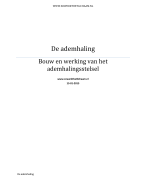Bouw en werking van het ademhalingstelsel