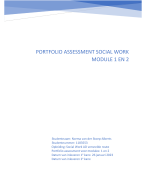 Portfolio social work module 1 en 2 windesheim