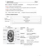 Samenvatting Neurofysiologie - Biologie deel 1