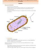 Biologie samenvatting bouw van de bacterie - gezondheids- en welzijnswetenschappen