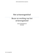 Het urinewegstelsel