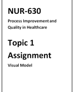 NUR 630 Topic 1 Assignment: Visual Model