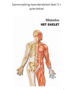 Samenvatting anatomie van het beenderstelsel deel 3 en spierstelsel