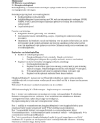 Grondslagen inkomstenbelastingheffing