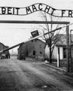 Verschil in jodenvervolging tussen Nederland en België