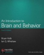 Grote samenvatting van 'Brain and Behavior' inclusief afbeeldingen 