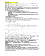 samenvatting lesbrief werk, havo 5