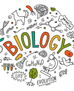 Biologie samenvatting 6 basisstoffen MAVO2