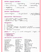 Nederlands examenstof Havo 5