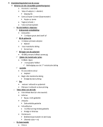 Anatomie: voortplantingstelsel