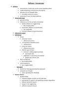 samenvatting reflexen en hersenstam