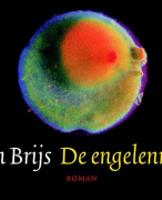 Boekverslag 'De engelenmaker'
