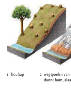 Biologie voor jou H5 Ecologie