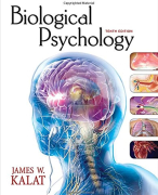 Bio- en neuropsychologie: College aantekeningen en samenvatting