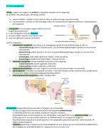 Samenvatting biologie Thema 6 Waarneming en gedrag  4 havo Biologie voor jou