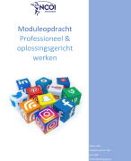 NCOI moduleopdracht Professioneel en oplossingsgericht werken Cijfer 9