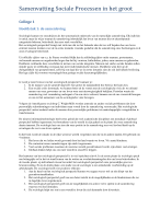 Samenvatting Sociale Processen in het groot